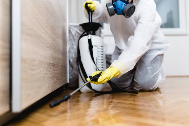 Best Pest Control Near Me  in Westville, IN