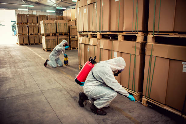 Best Pest Removal Services  in Westville, IN
