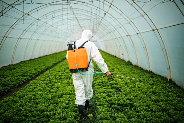Best Commercial Pest Control Services  in Westville, IN