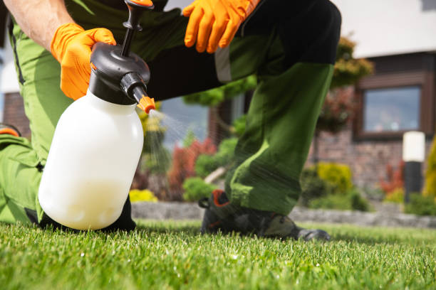 Best Wildlife Control Services  in Westville, IN