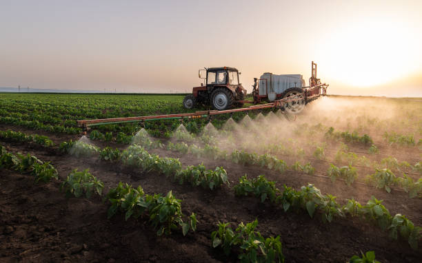 Best Mosquito Control Services  in Westville, IN