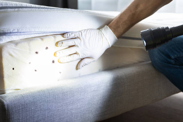 Best Affordable Exterminators  in Westville, IN