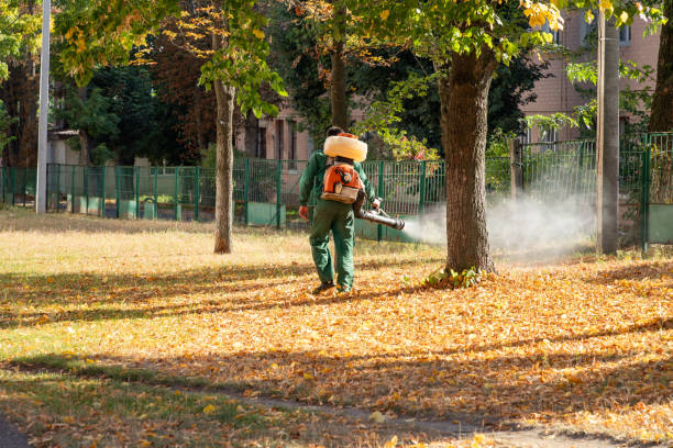 Best Affordable Pest Control Services  in Westville, IN