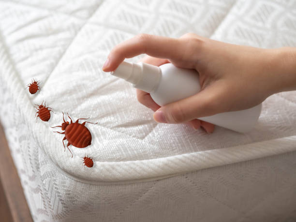 Pest Prevention Services in Westville, IN