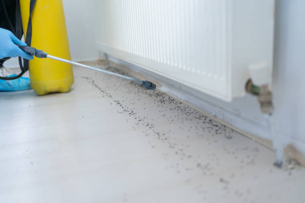 Best Ant Control Services  in Westville, IN