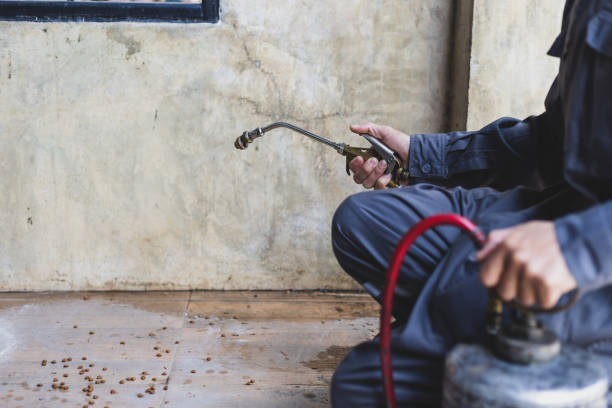 Best Best Pest Control Companies  in Westville, IN